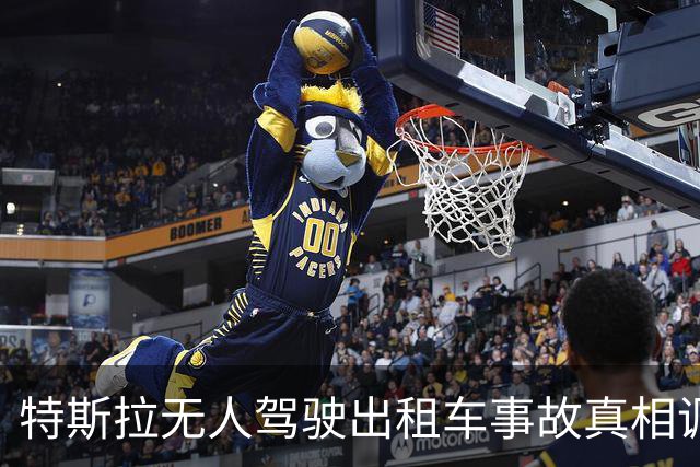特斯拉无人驾驶出租车事故真相调查：图片来源遭质疑